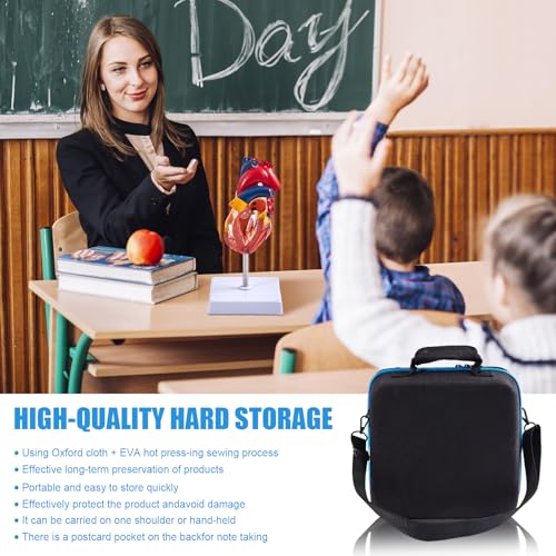Image of Human Anatomy Model Set | Torso, Heart, Skeleton, Skin, Brain | Comes with Portable Carrying Case | Ideal Educational Gift for Students & Teachers