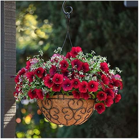 200Pcs Petunia Seeds Showy Red Morning Glory Annual Climbing Flower for Garden Hanging Baskets Planting Unique Gardening Ornamental Flowers Cover