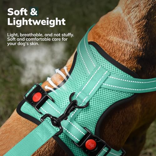 FAYOGOO Hundegeschirr, Kein Choke Front Clip Hund Reflektierendes Geschirr, No-Pull Verstellbare Weiche Gepolsterte Haustier Weste Set für kleine Mittlere Große Hunde Gehen (Grün, M)