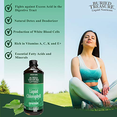 Buried Treasure Liquid Chlorophyll 100 mg Dietary Supplement, Energy Boost Immune Support Detox Intestinal Digestive Support Natural Body Deodorant Vegan Non-GMO Alcohol Free Spearmint Flavor,16 oz