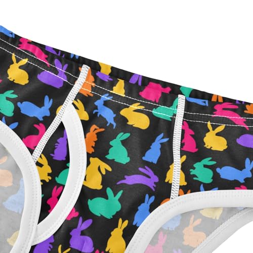 Boys' Exclusive Briefs Toddler Underwear 95% Combed Cotton Boxerbriefs 2T Multicolored Rabbit 424