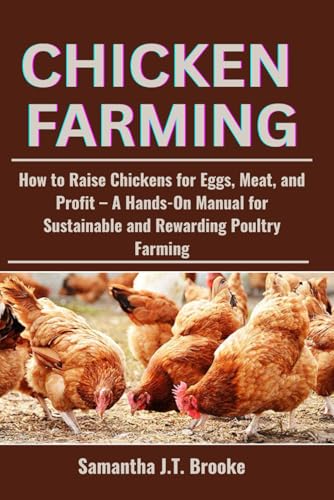 How many eggs does a chicken lay per day