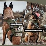 OneTigris Hundegeschirr, T-Bone Taktisches Geschirr mit 2 Griff Ausbruchsicher Einstellbar Brustgeschirr für Hunde Jagd Wandern Trainierung Spaziergang Outdoor-Aktivitäten (Grün, L)
