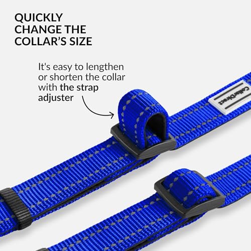 CollarDirect Reflective Dog Collar for a Small, Medium, Large Dog or Puppy with a Quick Release Buckle - Boy and Girl - Nylon Suitable for Swimming (12-16 Inch, Blue) by CollarDirect - Image 6