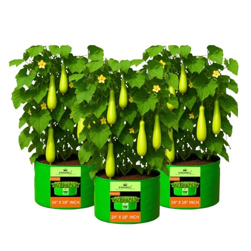 Image of Kingwell Grow Bag 24 X 18 INCH, PACK OF 3 For Terrace Garden Leafy Vegetable Plant Grow Bags Fruits Growing Containers For terrece Gardening (24 X 18 INCH, PACK OF 3)