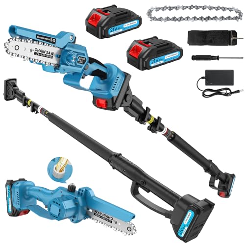 2-en-1 Tronçonneuse avec Perche Télescopique (1,6 m-2,8 m) & Mini Tronçonneuse 6 pouces, 1000W Moteur, 2 Batteries de 2000 mAh, Coupe jusqu'à 13.2 Pieds de Hauteur pour Élagage des Arbres et Jardinage