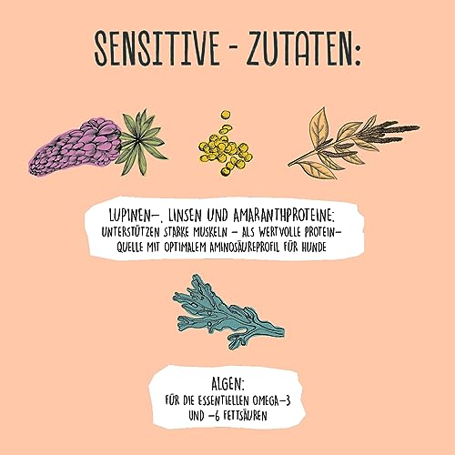 VEGDOG Sensitive hypoallergenes Nassfutter für Sensible Hunde (6 x 400 g) | Adulte Hunde| für ernährungssensible Vierbeiner, gut verdaulich | Alleinfutter für Allergiker mit Lupinenprotein