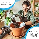 ZOMA B0D7DKY5TF lato 4