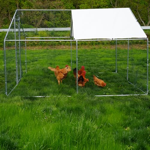 Feelway Large Chicken Coop Outdoor Metal Chicken Run with Waterproof and UV-resistant cover Heavy Duty Hen House Walk-in Poultry Cage for Chicken Dog Duck(9.84\'×9.84\'×6.46\'), Silver