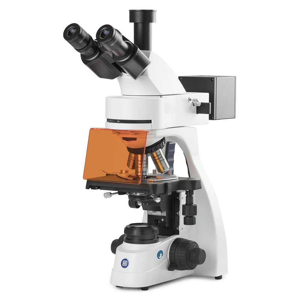 bScope Trinocular Compound Microscope for LED Fluorescence, HWF 10x/22mm Eyepieces Quintuple Nosepiece Plan Fluarex PLFI 4/10/S40/S100x Oil Infinity Corrected Objectives Globe Scientific | Euromex