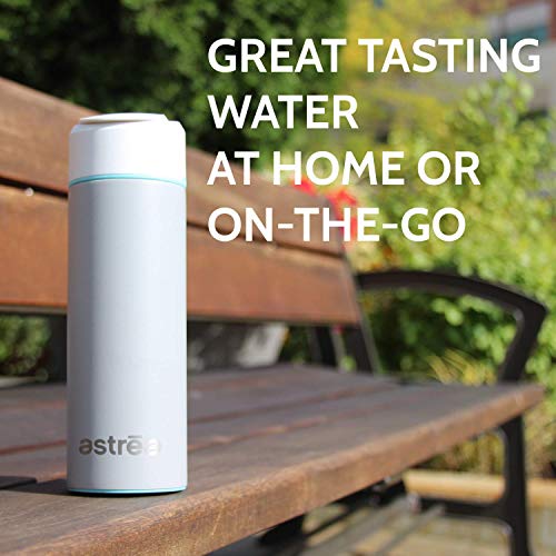 Astrea One Premium Stainless Steel Filtering Water Bottle, 20 Oz, Meets Nsf/Ansi Standards 42, 53, And 401, Independently Certified, (New & Improved) (Black/Purple) #TOP4