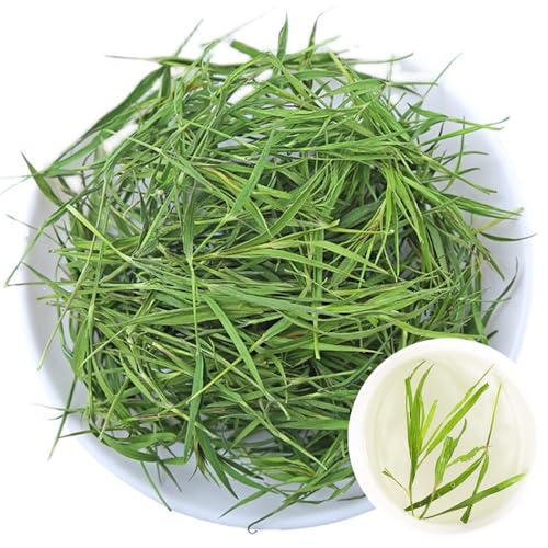 Plant Gift Bamboo Leaves