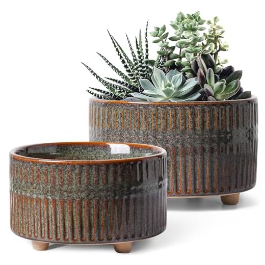 LE TAUCI Succulent Pots, 6.5+8 Inch Ceramic Pots for Plants Indoor, Shallow Round Succulent Planters with Drainage Hole, Set of 2, Reactive Glaze Black