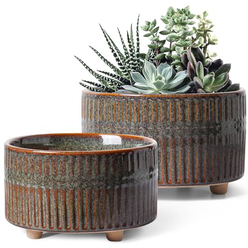 LE TAUCI Macetas para Suculentas, Maceta de Cerámica de Interior de 16,5 + 20 cm con Agujero de Drenaje, Maceta Decorativa Redonda Moderna, Regalos para Mamá, Juego de 2, Esmalte Reactivo Negro