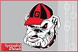 Georgia Bulldogs UGA MASCOT 4