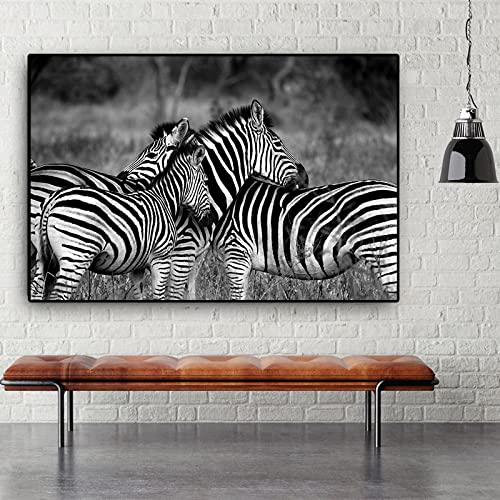 ITAWS Poster Pintura En Lienzo De Paisaje De Animales Salvajes De Cebra Africana En Blanco Y Negro, 50X70 Sin Marco Cuadros, Láminas Y Posters Para Salon Y Dormitorio