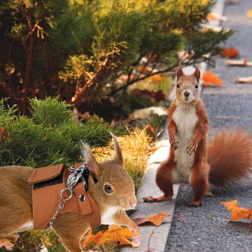 Image of 3 Pack Squirrel Harness and Leash Set - Adjustable Soft Leather & Traction Rope Strap Anti-Biting Chainfor Small Pet Walk Jogging Bearded Dragon Reptile Squirrel Rat