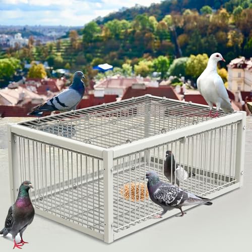 MUALROUS Piège à pigeons avec design anti-fugue pour pigeons, colombe - Cage à oiseaux pliable à sens unique - Entrée extérieure, terrasse, jardin, ferme,...