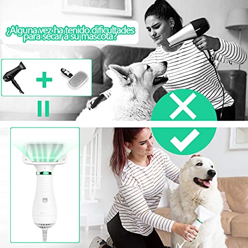 Accesorios, Pet Products Imagen adicional