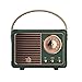 Retro Bluetooth Speaker,Wireless Bluetooth Speaker,Cute Old Fashion Style for Kitchen Bedroom Office Party Outdoor Kawaii Wireless Speaker,U-Disk/TFCard/AUX/Android/iOS Devices (Green, 5 inches)