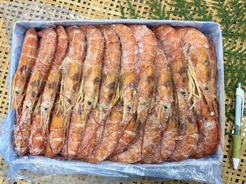�A���[���`���Ԃ��� 2kg L1�`L2 (L2 2kg ��50��)