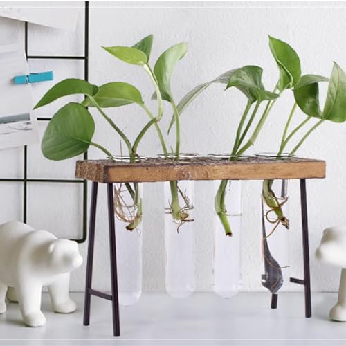 Innjoii Desktop Plant Planter Propagation Station Glass Flower Pot Small Bench with Retro Solid Wood 4 Test Tube Vase Metal Holder for Hydroponics Wedding Indoors Home Office Garden Decor Cafe Desk - Image 3