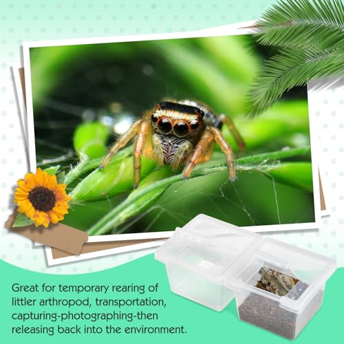 Vcepjh HX036 20 Pcs Tarantula Sling Enclosure thumb #4