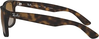 Ray-Ban Unisex Justin Sunglasses (pack of 1)
