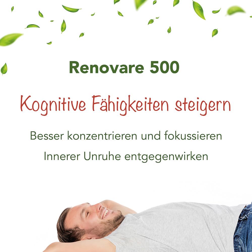 Renovare 500