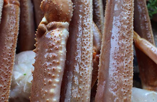 ざこばの朝市 最高級 船凍品 生ずわいがに オピリオ種 4L