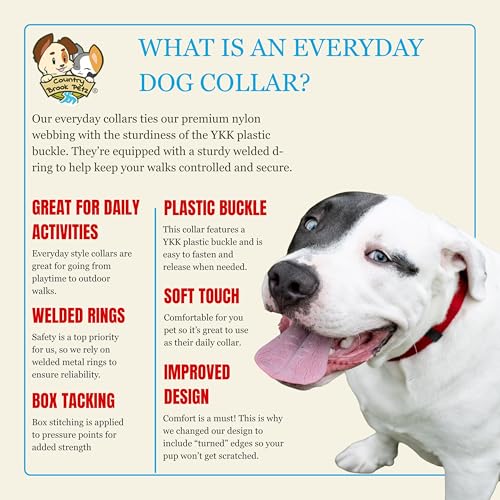 Image of Country Brook Petz | Vibrant 21 Color Selection | Deluxe Nylon Dog Collar (Red, Large, 1 Inch Wide)