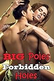 Big Poles, Forbidden Holes (Eight Book Erotic Box Set Lusty Collection)(Naughty Tales)
