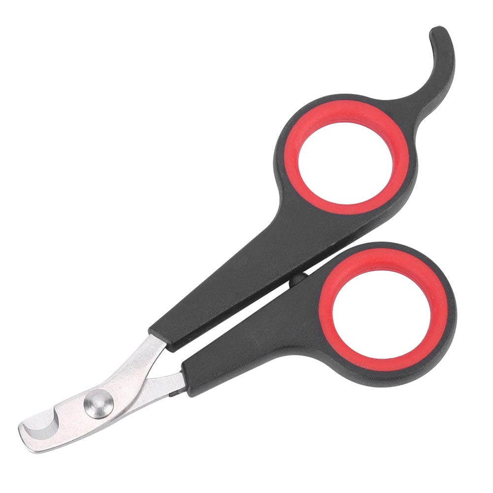 Coupe-Ongles pour Oiseaux, Outil de Toilettage pour Petits Animaux, Outil de Toilettage pour Ciseaux à Ongles Tondeuse Noire et Rouge