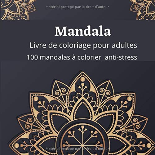 Mandala: Livre de coloriage pour adultes-100 mandalas à colorier anti-stress PDF
