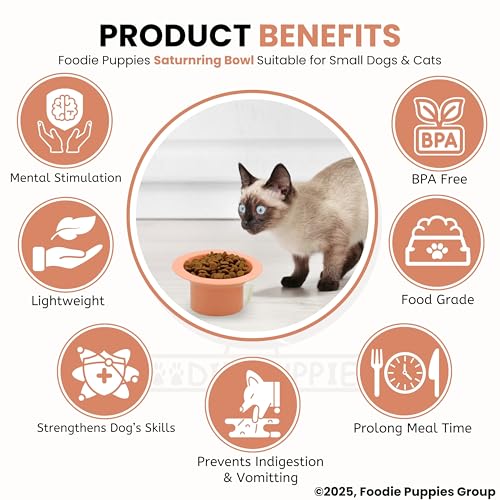 Image of Foodie Puppies Cat Food and Water Feeder (SaturnRing Bowl, Pack of 2) | Durable, Anti Vomiting, Healthy Cat Bowl for Persian Cat Prevent Tipping Over | Elevated Feeder for Cats and Small Dogs