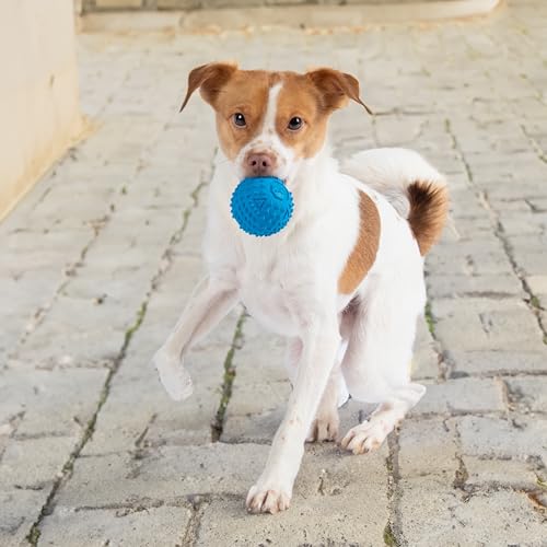 Image of Best Pet Supplies Squeaky Dog Toys with Soft Durable Fabric for Small, Medium and Large Pets Interactive Toy for Indoor Play, Supports Active Biting and Play - Blue (L:3.5 inch)