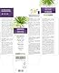 Sägepalme (Serenoa repens oder Sabal serrulata) Früchte Alkoholfreier Urtinktur Naturalma - Flüssig-Extrakt Tropfen 120 ml - Nahrungsergänzungsmittel - Veganer