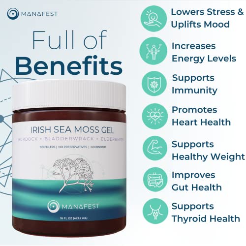 Manafest Wildcrafted Sea Moss Gel - Elderberry, Burdock, and Bladderwrack - Organic Irish Sea Moss - 100% Natural Sea Moss for Smoothies, Green Drinks, and Teas - 16oz Jar - Thumbnail 3