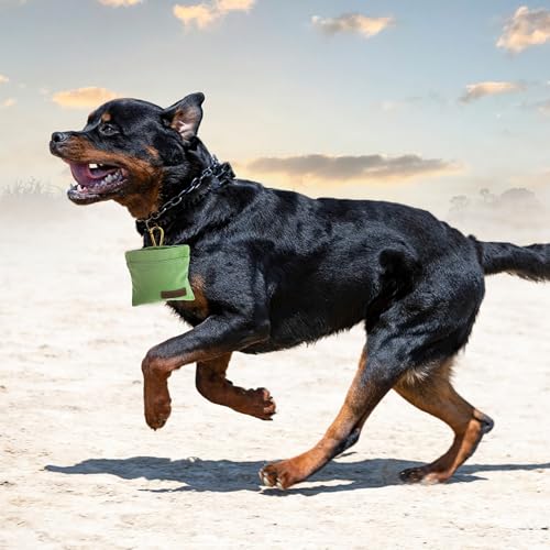 Jeffdad Leckerlibeutel für Hunde, Freihändige Futterbeutel Hundetraining mit Karabiner Freihändige Hundeleckerlitasche mit Automatischem Verschluss Welpen Leckerlitasche für Hundetraining(Grün)
