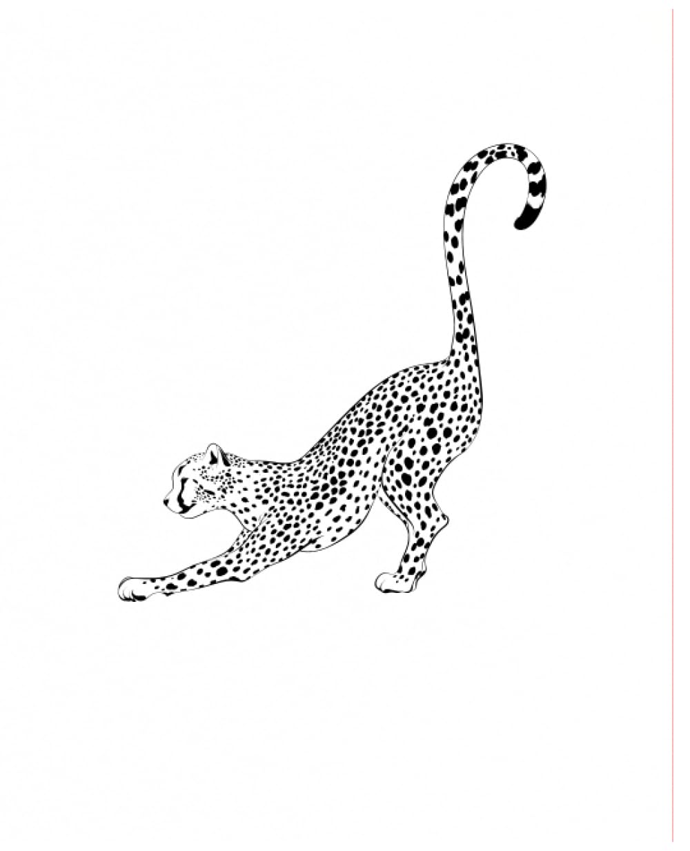 Cheetah Journal