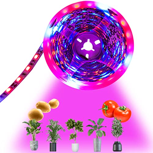 Tesfish LED planten groeistrip licht DC 12V IP20 Ledstrip volledig spectrum SMD 5050 rood blauw 4: 1 LED Lichtstrip voor aquarium kassen planten