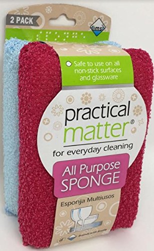 Cleanlogic Practical Matter Fiber Sponge, 2 Count