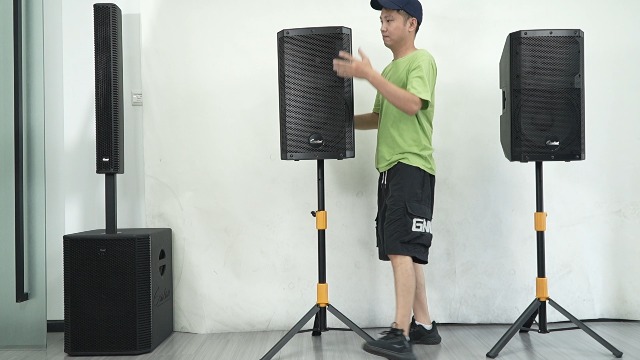 Amazon.com: EXOTON MX-P12 PA System with 2x12 Speakers, 10-Channel
