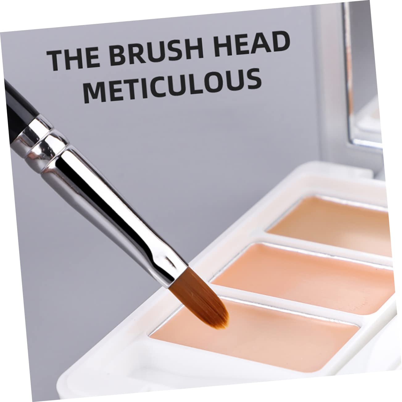 Healeved Dark Circle Concealing Makeup Brush T22 Fine Concealer Brush T301 Double-head Sponge Travel Makeup Kit