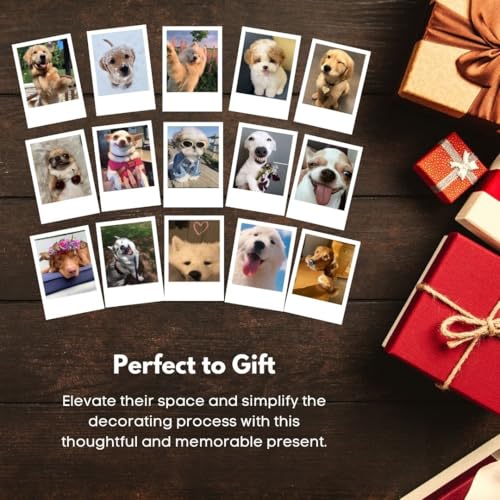 Image of Cute Dog & Puppy Poster Polaroids | Dog Memes Mini Posters Kit (Set of 15) | Dog PFPs Collage Kit Polaroids Sized (8 x 6 cm) Posters for Phone Accessories, Bedroom, Office, Living room (Dog Memes)