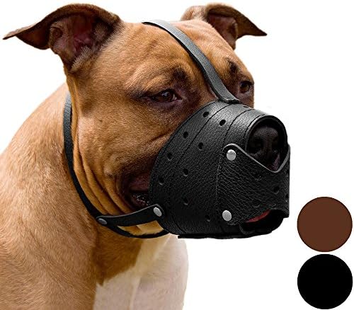 basket weave muzzle