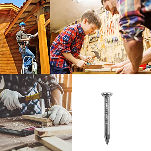 Omotool Masonry Steel Nails (200 Pcs), Galvanized Concrete Wall Nail For Hanging Pictures And Woodworking, Suit For Drywall And Pine (2Cm) #TOP3