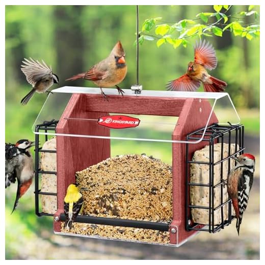 Kingsyard Bird Feeder for Outdoors Hanging - Recycled Plastic Double Suet Wild Bird Feeder with Weatherproof Roof & Metal Mesh Tray, 3 LBS Large Seed Capacity. Red