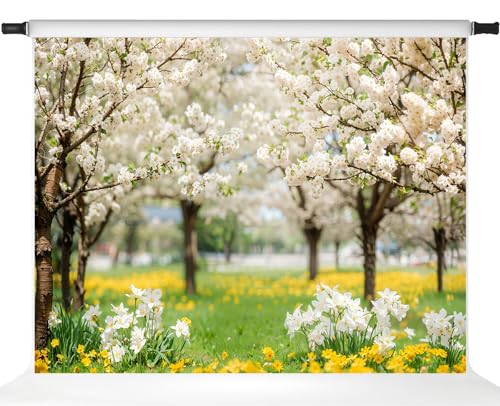 Toile Sakura paysage naturel pour photos de vacances en famille