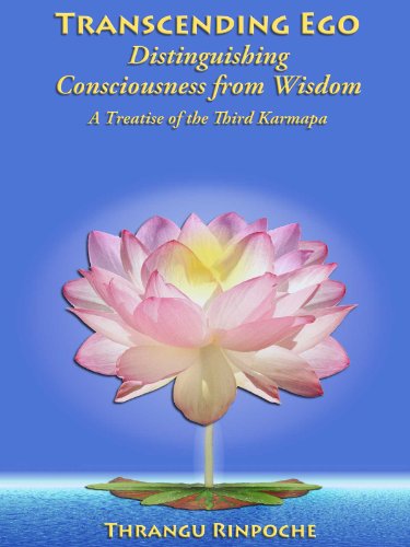 Transcending Ego: Distinguishing Consciousness from Wisdom